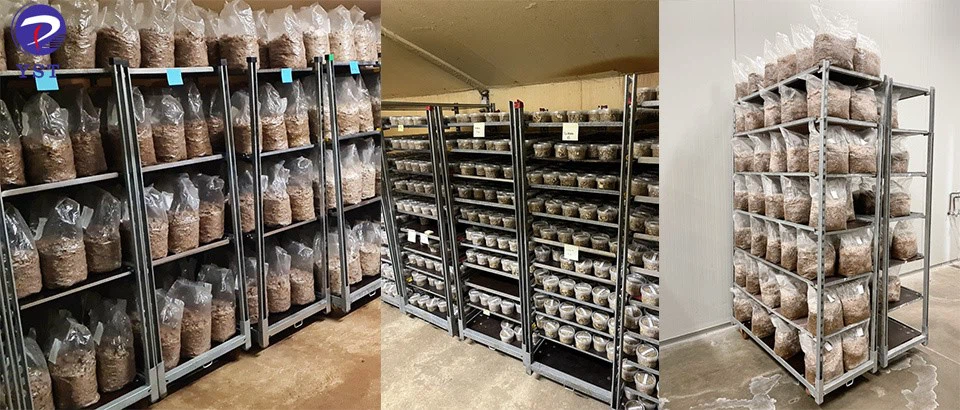 Danish Trolleys-3 Danish Trolleys-3