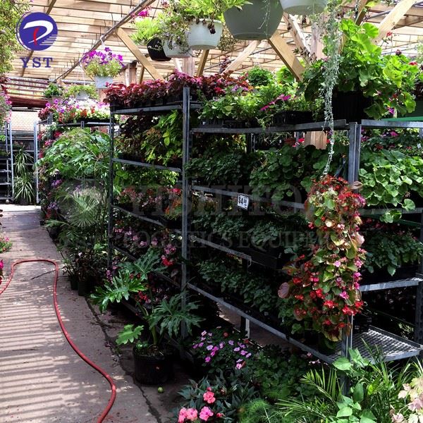 Danish Cart Plant