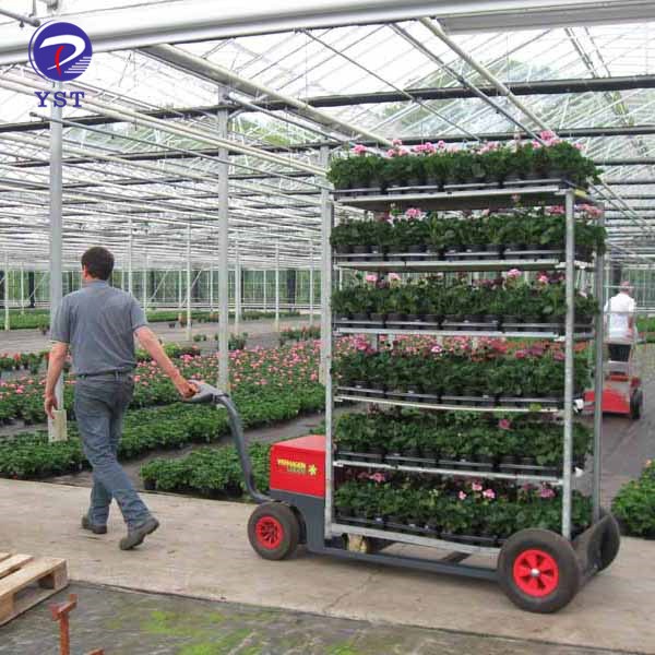 Chariots à Plantes