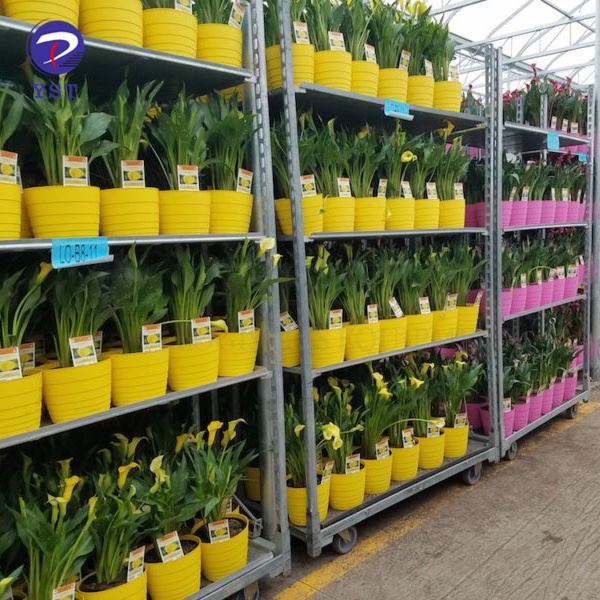 Chariots à Plantes
