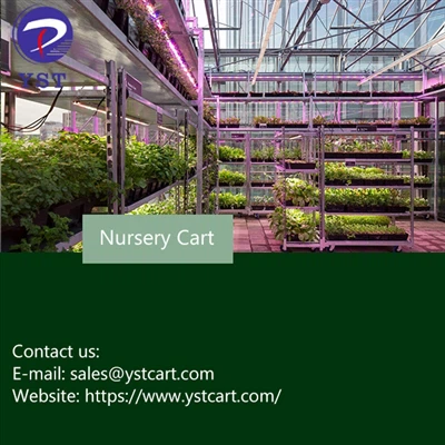 Utilisez un chariot de pépinière pour cultiver des plantes