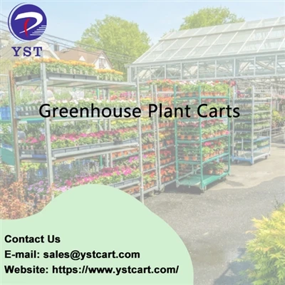 Les avantages de l'utilisation de chariots pour plantes de serre pour un entr...