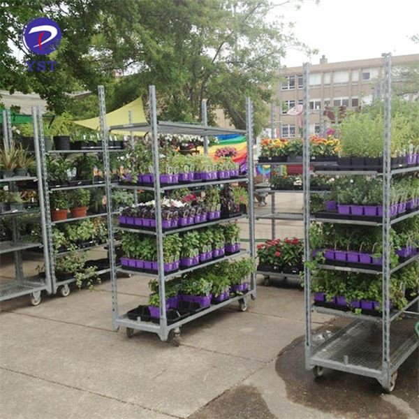 Support de chariot à plantes