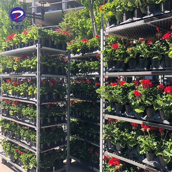 Plant Trolley Rack