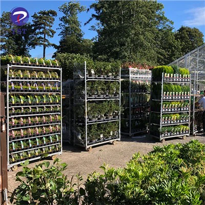 Conteneurs danois de transport de fleurs