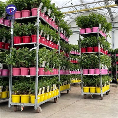 Chariot de support pour pépinière de fleurs et de plantes