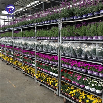 Support à fleurs pour centre de jardinage