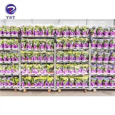 Chariot à fleurs de jardinage Chariot danois