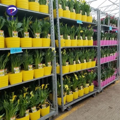 Chariots à fleurs pour étagères de serre