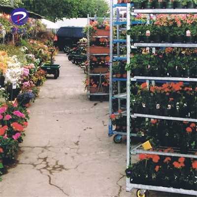 Chariot de pépinière en treillis de soudure